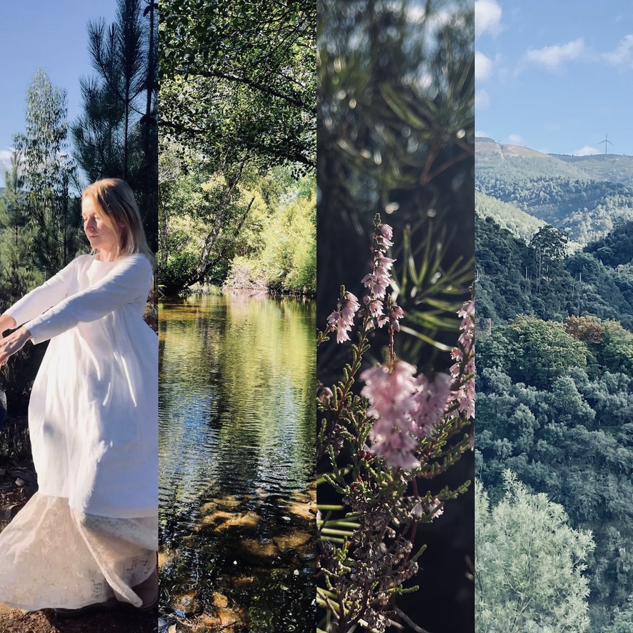 2ED7CA97-6D29-45CE-A612-A8D4F3A74CFD_1_105_c