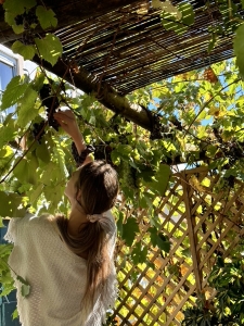 3E1EECAC-43C9-4080-B41F-DB24DB412006_1_105_c